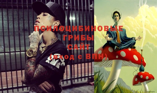 эйфоретик Белокуриха