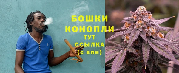 эйфоретик Белокуриха