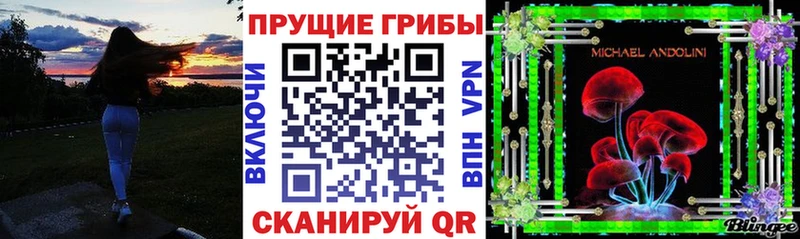 где продают наркотики Демидов Псилоцибиновые грибы ЛСД