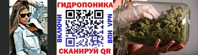 Марихуана гибрид Демидов